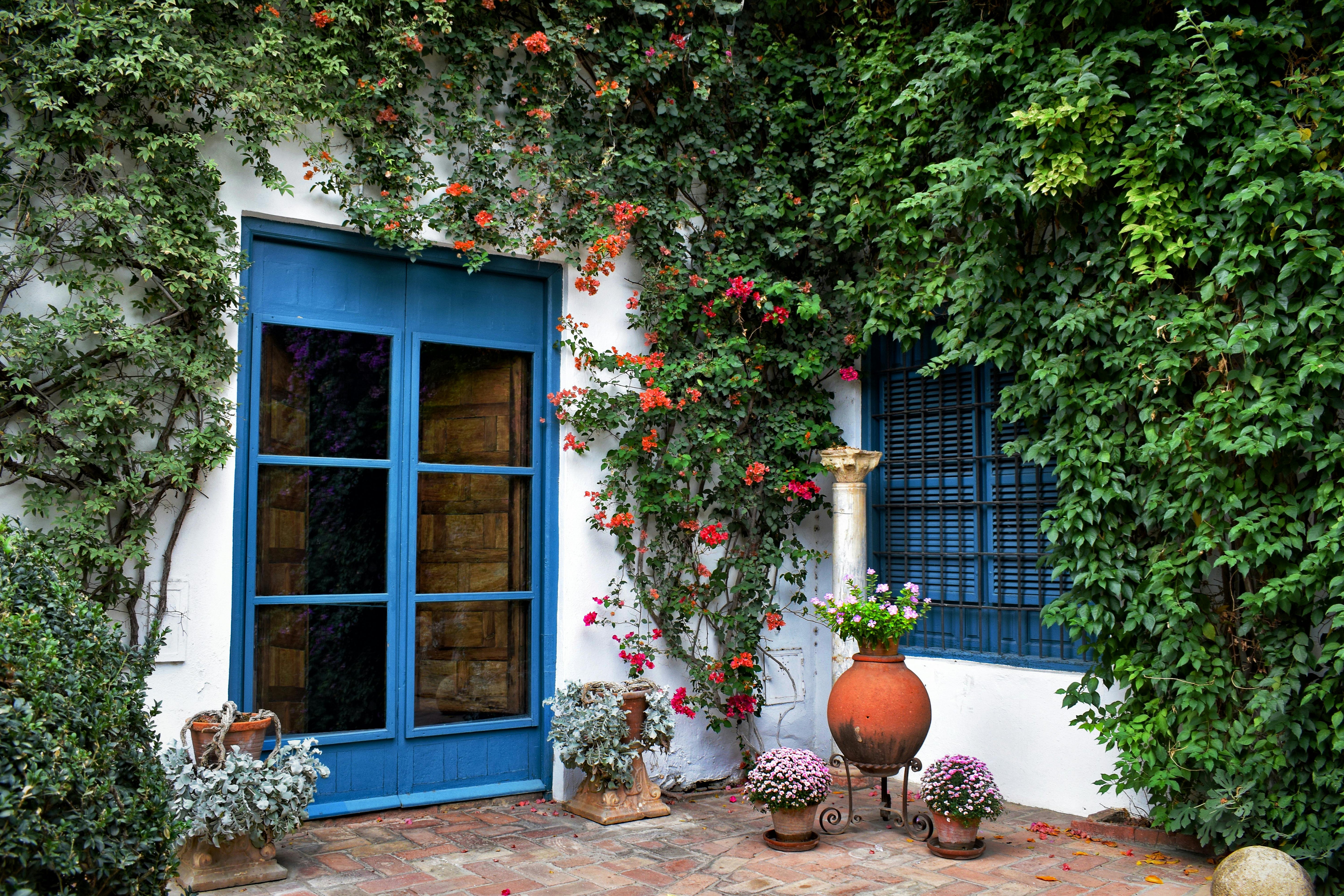 Garden and Patio